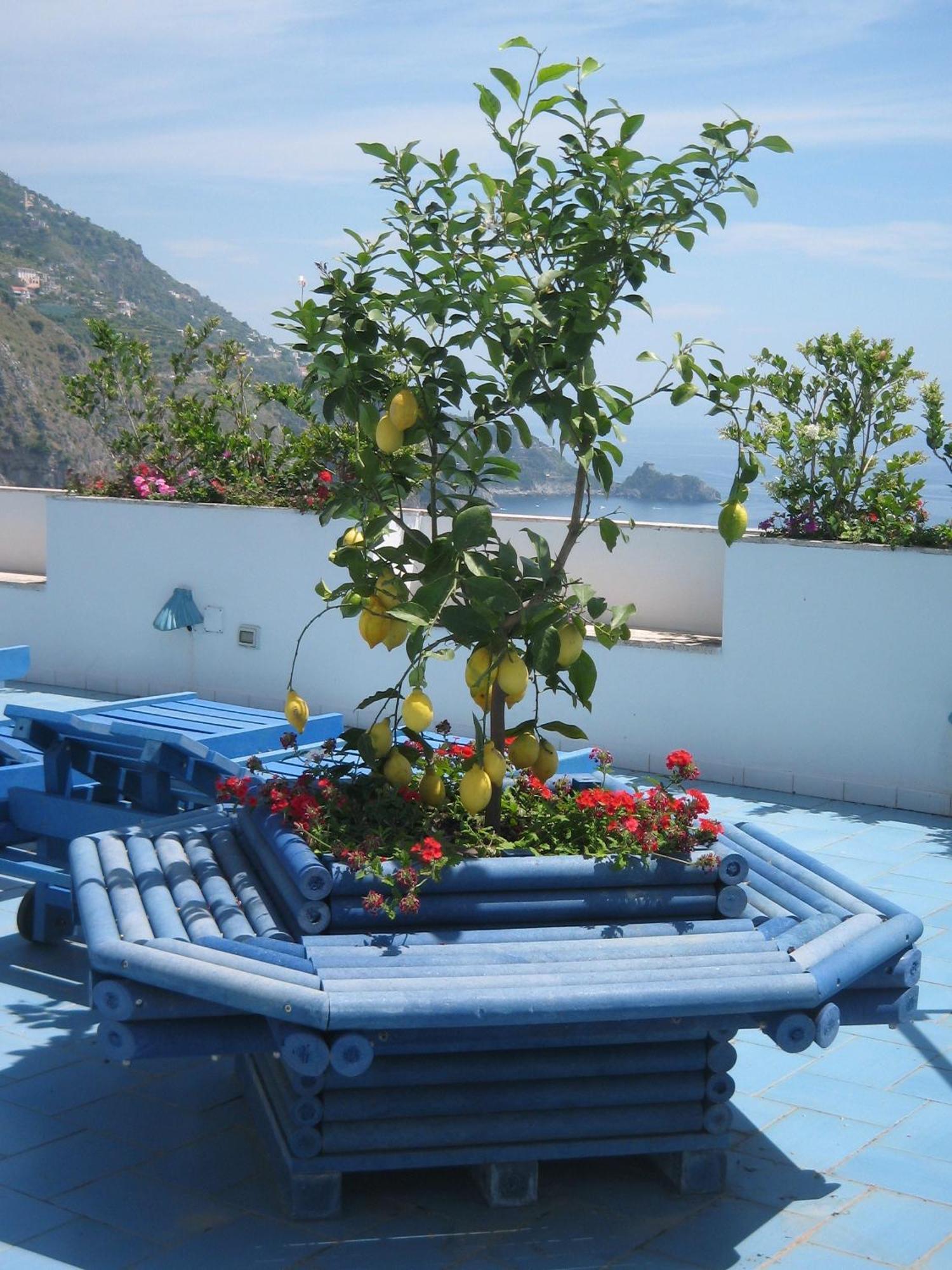 Hotel Holiday Praiano Exterior photo